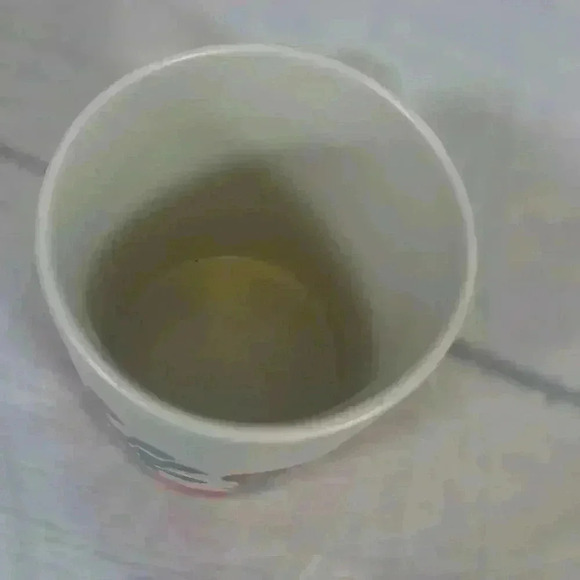 2017 Starbucks Cactus Lights Succulent Holiday Christmas 12 Oz Mug Coffee tea - Picture 6 of 9